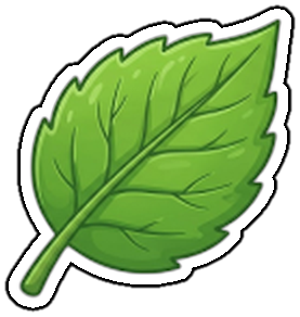 บ ใบไม้ Leaf