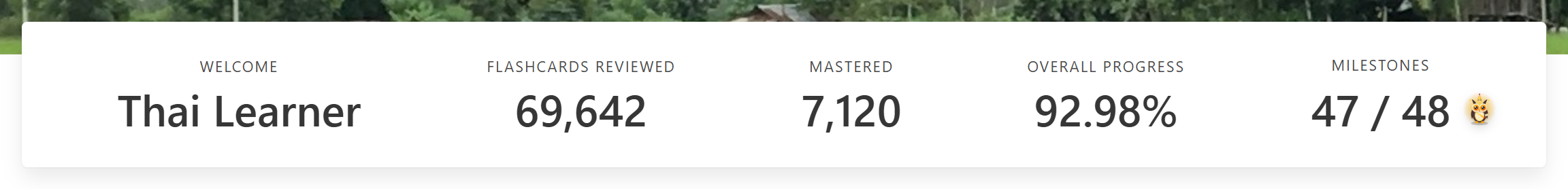 Fun to Learn Thai Learning Dashboard showing Thai Learner review stats